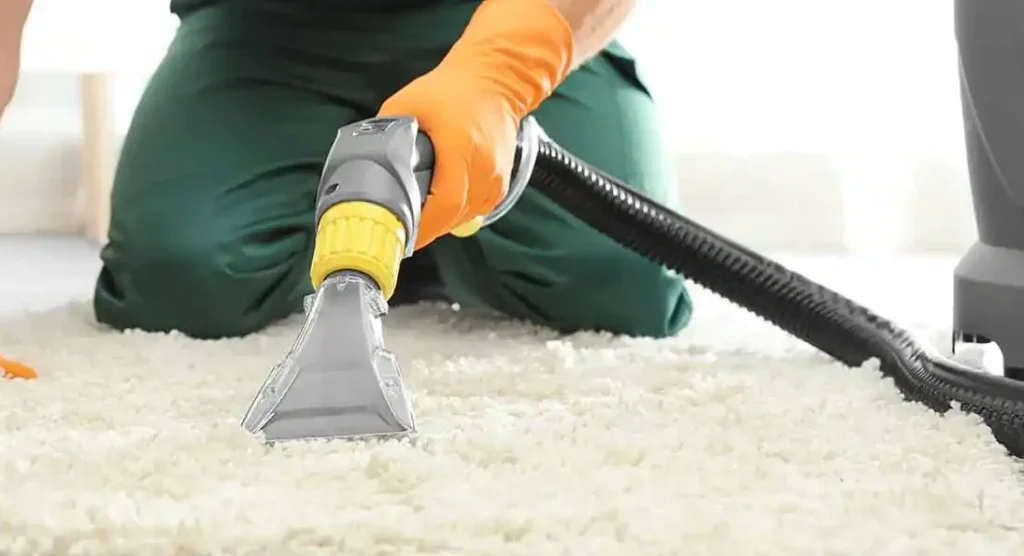 czyszczenie wykładzin biurowych poznań