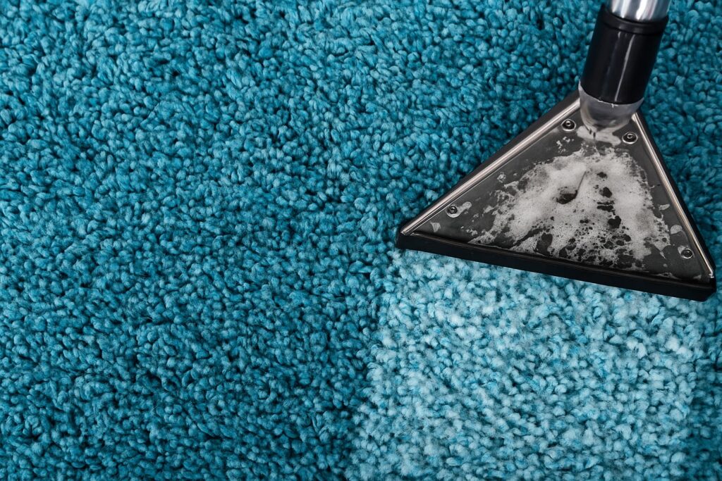 czyszczenie dywanów w mieszkaniu Poznań